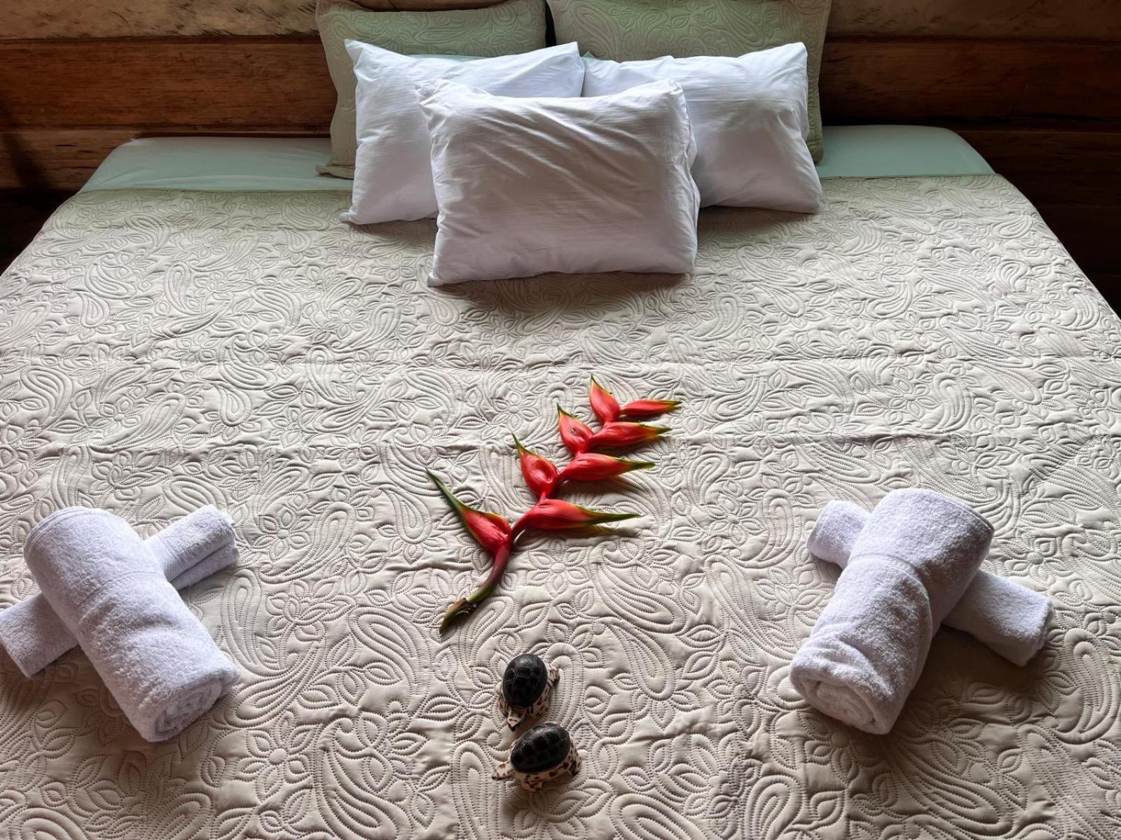 Purachata Ecolodge Iquitos Luaran gambar