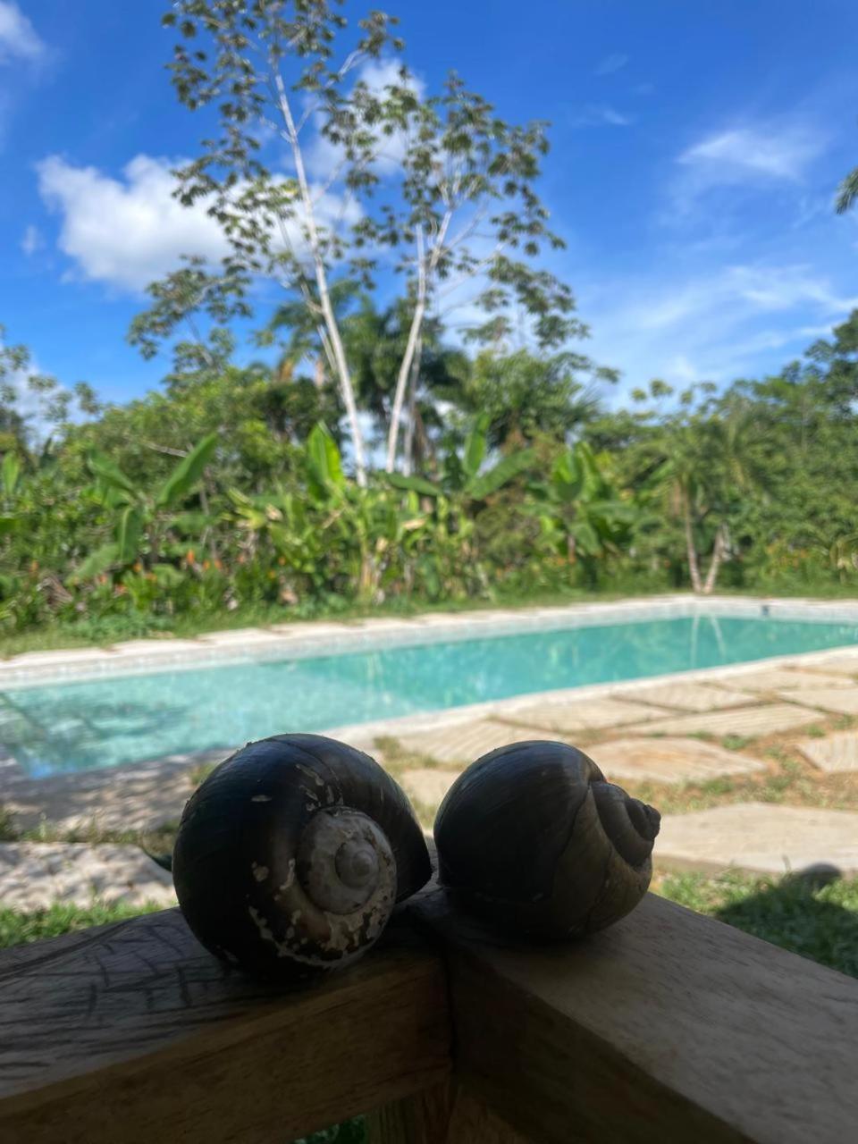 Purachata Ecolodge Iquitos Luaran gambar