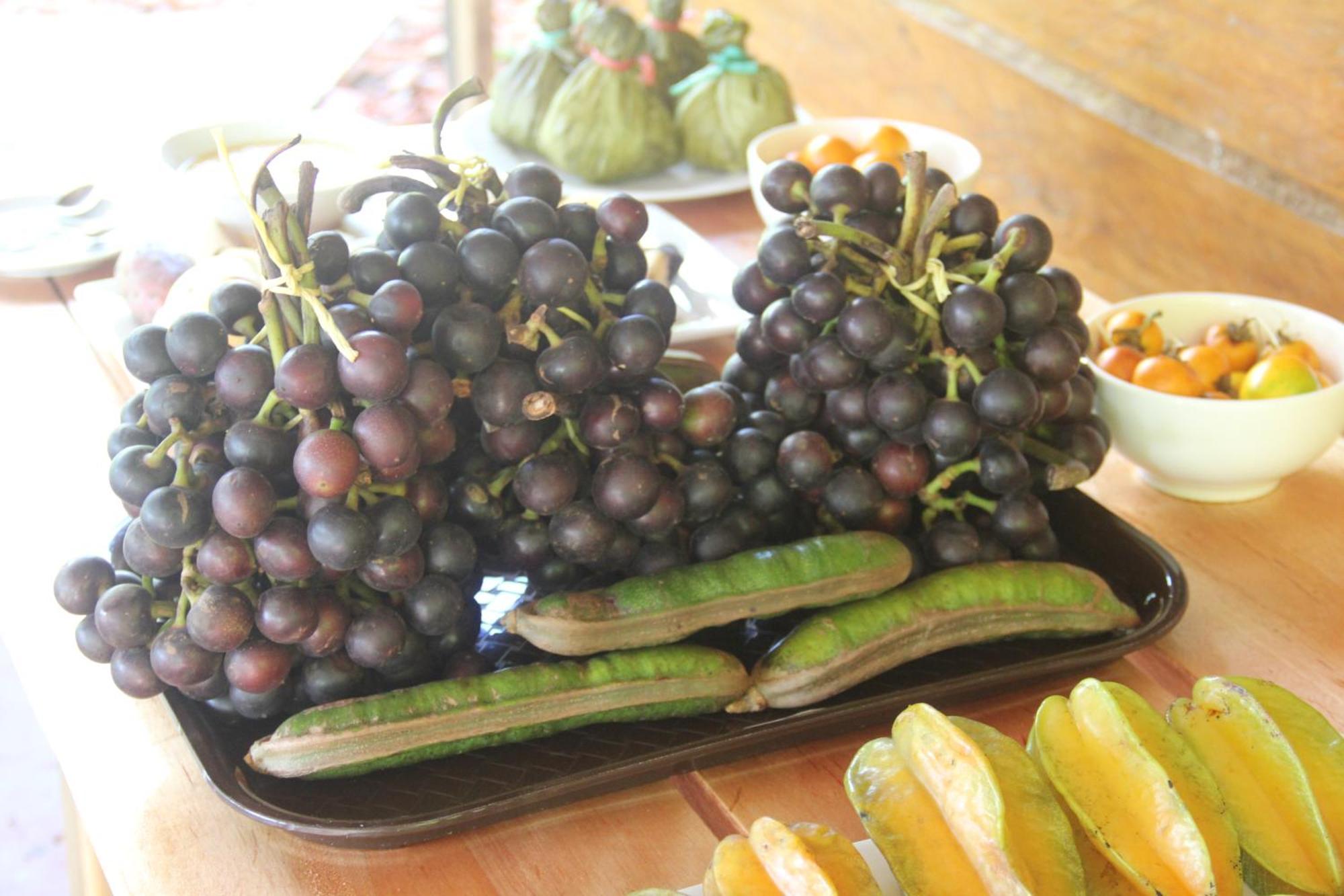Purachata Ecolodge Iquitos Luaran gambar