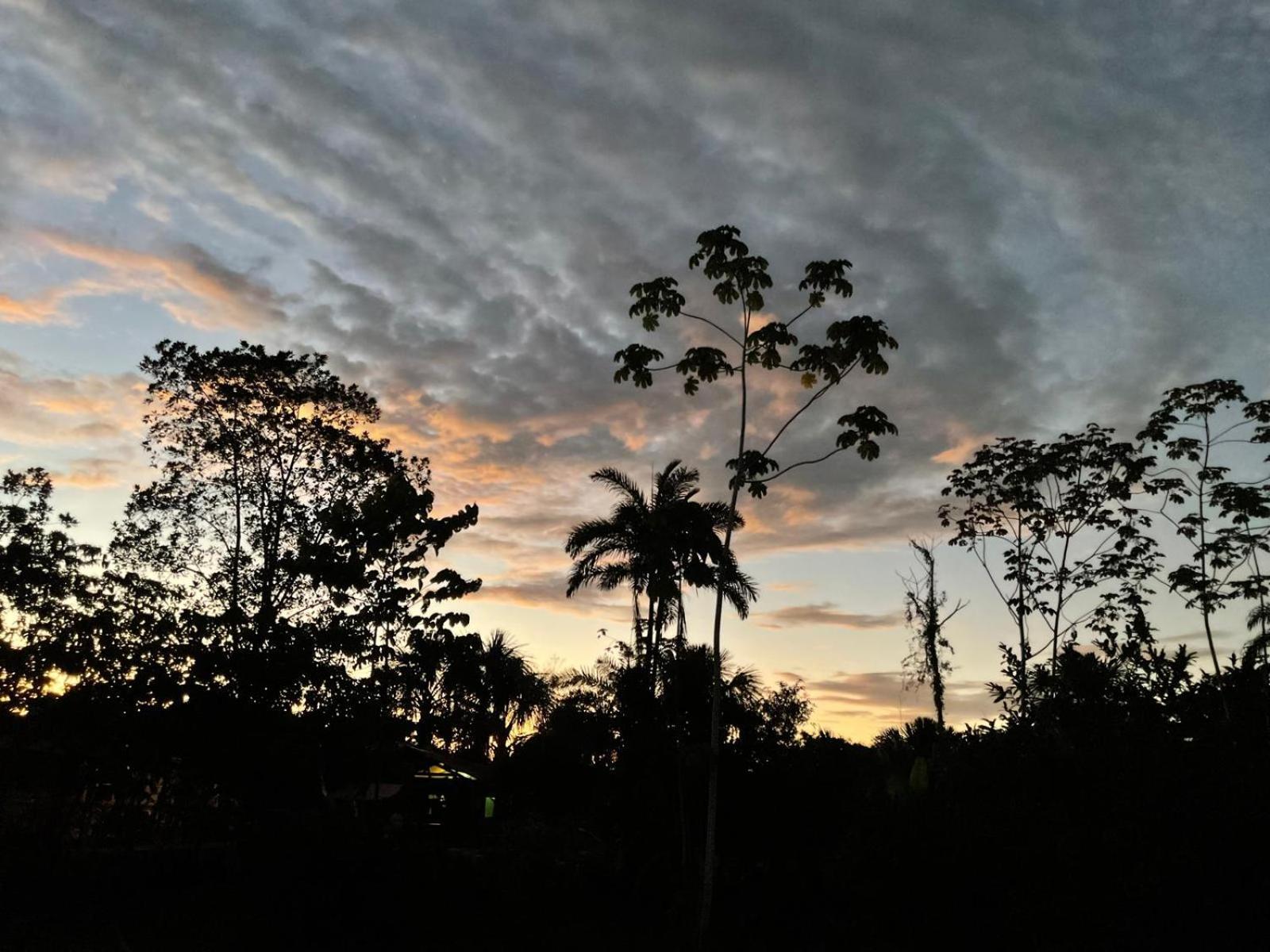 Purachata Ecolodge Iquitos Luaran gambar