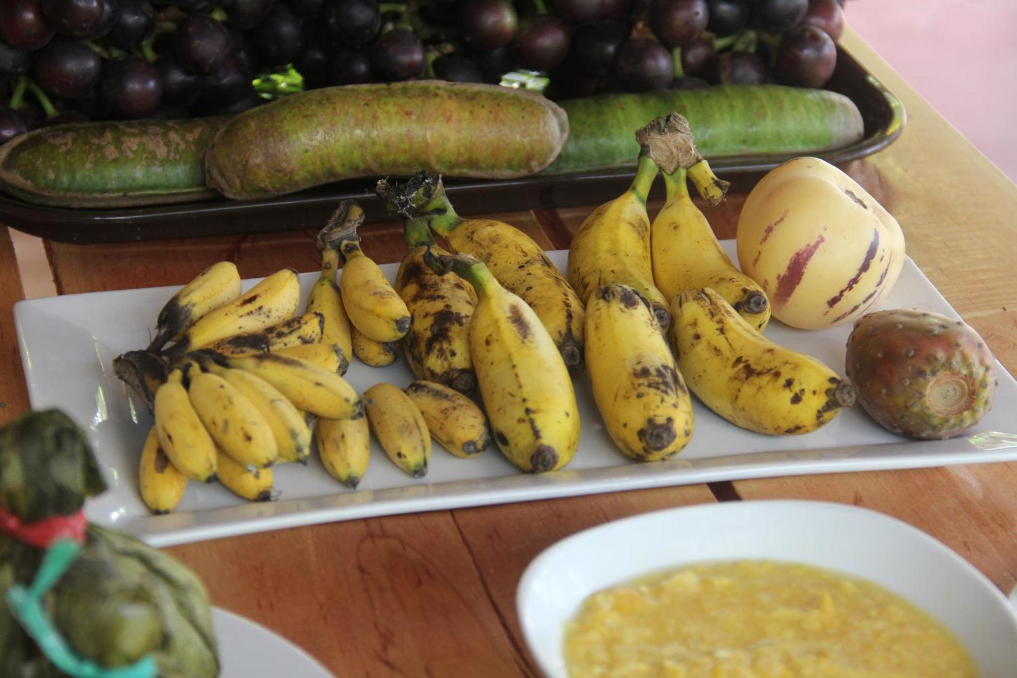 Purachata Ecolodge Iquitos Luaran gambar