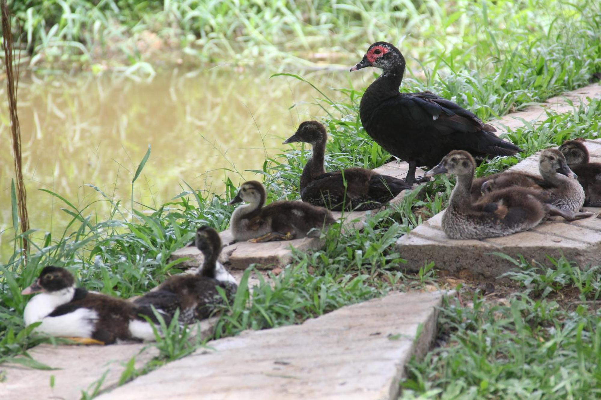 Purachata Ecolodge Iquitos Luaran gambar