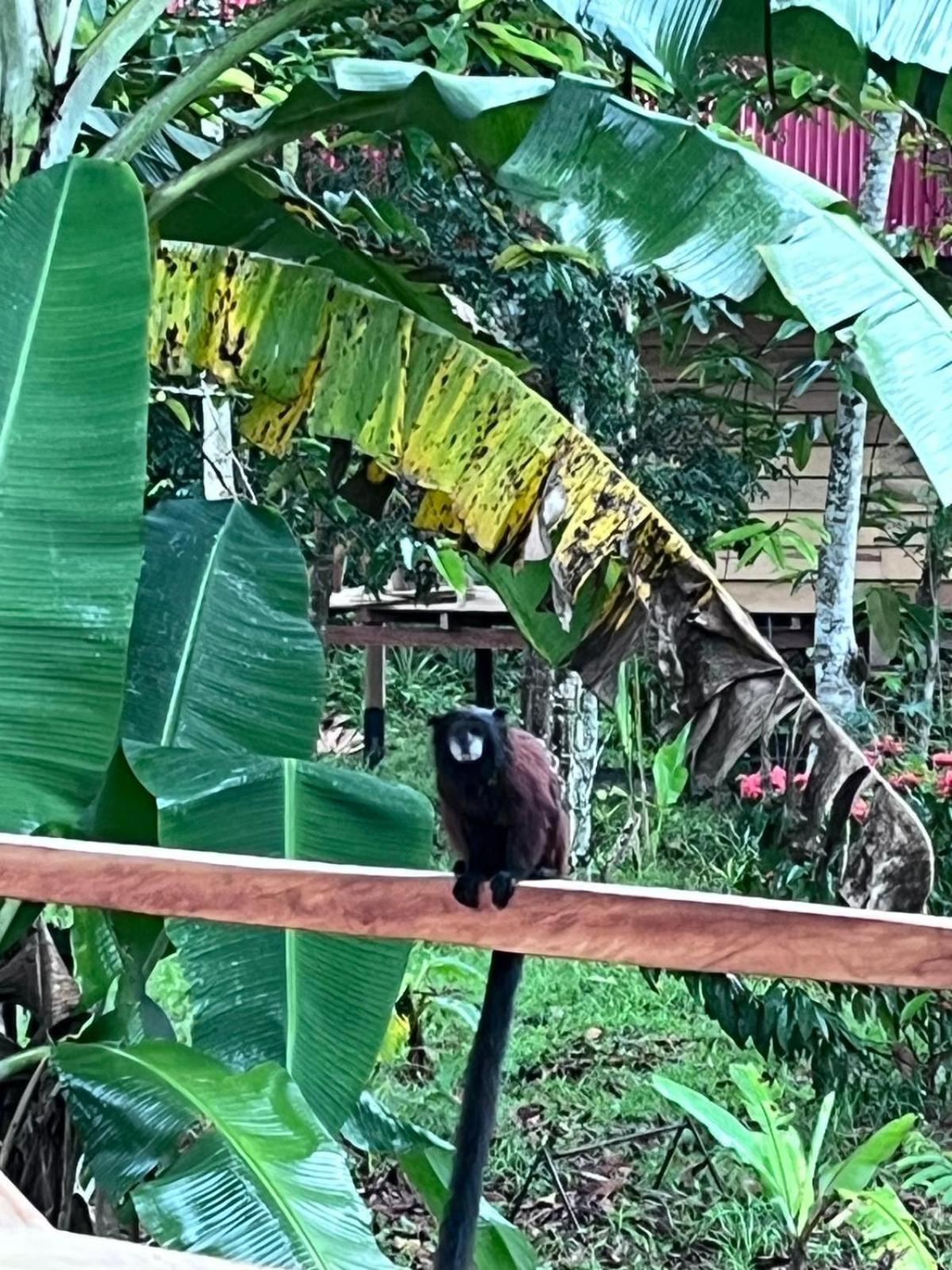 Purachata Ecolodge Iquitos Luaran gambar