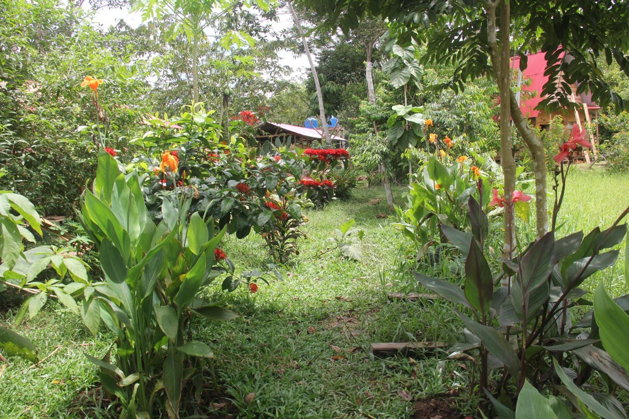 Purachata Ecolodge Iquitos Luaran gambar